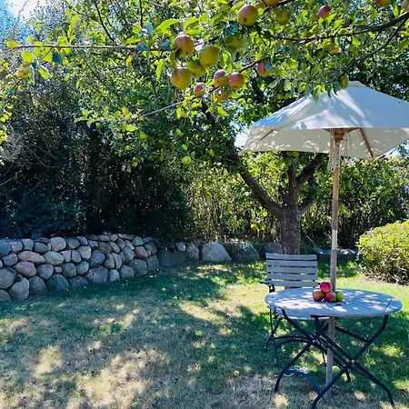 Im Fischerdorf Unterm Reetdach Apartment Lancken-Granitz