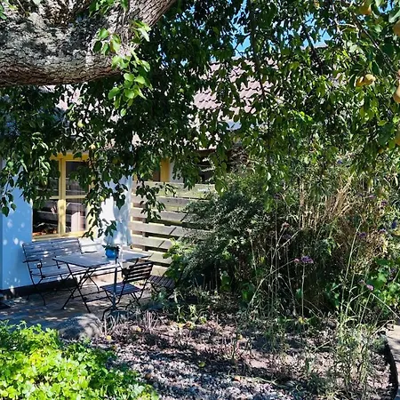 Im Fischerdorf Unterm Reetdach Apartment Lancken-Granitz